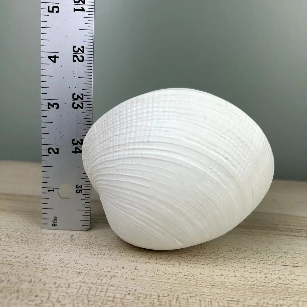 Ceramic Seashell Clam Shell Home Decor Vase Tray Beach Shore Vacation House Sea - Picture 8 of 9